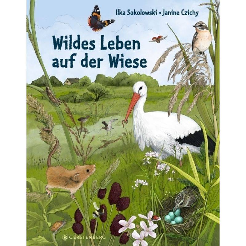 Wildes Leben Auf Der Wiese - Ilka Sokolowski, Gebunden von Gerstenberg Verlag