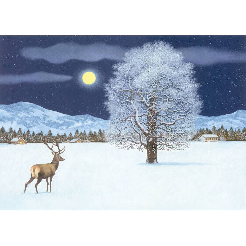 Zauberhafte Winternacht  Adventskalender von Gerstenberg Verlag
