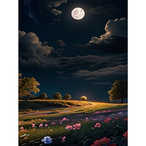 Nachtszene Diamond Painting Erwachsene-Landschaft Diamond Painting, 5D Diamant Painting Bilder für Geschenk Home Wall Decor,Erwachsene Bastelset(30x40cm) von Giahism