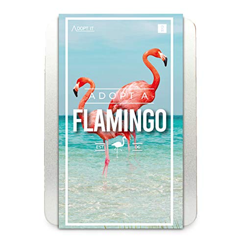 Gift Republic Adopt a Flamingo Geschenkbox Personalisierte Tier-Adoptions-Geschenkdose mit lustigen Fakten von GR Gift Republic