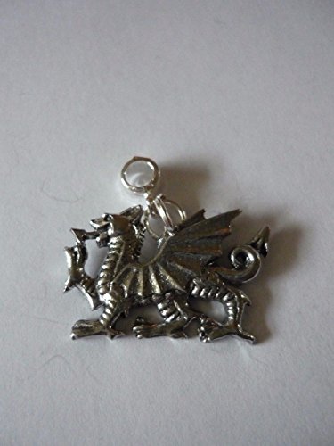 Giftsforall Anhänger mit walisischem Drachen, W31, 5 mm Loch, passend für Charm-Armband, von Derbyshire, UK von Gifts For All