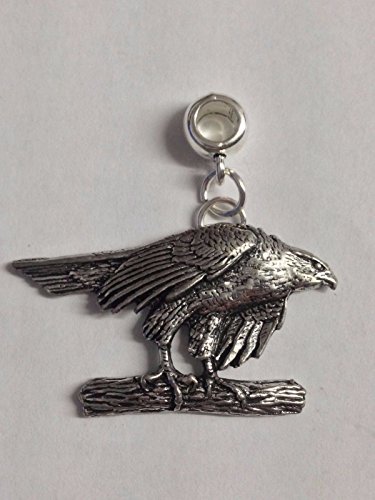 Y2 Hawk Charme mit 5 mm Loch passt auf Anhänger Charm Armband geschrieben von uns Geschenke für alle 2016 von Derbyshire UK von Gifts For All