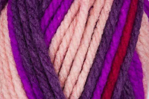 Stylecraft 2213016 Merry Go Round DK Summer Pudding (3016) Garn, 100 g von Giftz Galore