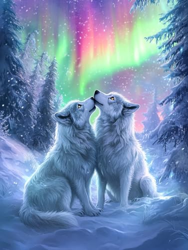 Ginfonr DIY Diamond Art Painting Zubehör Wolf Set Full, 5D Diamant Painting Aurora Borealis Bilder Kit Crystal Rhinestone Embroidery Decoration Für Home Wall Décor 30x40 cm8166 von Ginfonr