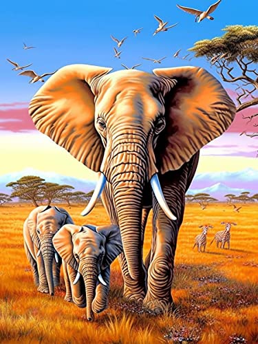 Ginfonr DIY Diamond Painting Zubehör Elefant Set Full, 5D Diamant Painting Giraffe und Zebra Bilder Kit Crystal Rhinestone Embroidery Decoration Für Home Wall Décor 30x40cm von Ginfonr