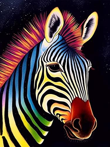 Ginfonr DIY Diamond Painting Zubehör Farbe Zebra Set Full, 5D Diamant Painting Sternenklarer Himmel Tier Bilder Kit Crystal Rhinestone Embroidery Decoration Für Home Wall Décor 30x40 cm von Ginfonr