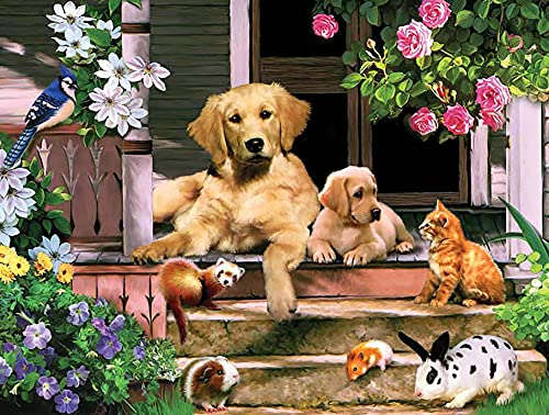 Ginfonr DIY Diamond Painting Zubehör Golden Retriever Hund und Katze Set Full, 5D Diamant Painting Hase Bilder Kit Crystal Rhinestone Embroidery Decoration Für Home Wall Décor 30x40cm von Ginfonr