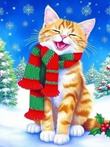 Ginfonr DIY Diamond Painting Zubehör Weihnachten Lächelnde Katze Set Full, 5D Diamant Painting Christmas cat Schnee Bilder Kit Crystal Rhinestone Embroidery Decoration Für Home Wall Décor 30x40 cm von Ginfonr