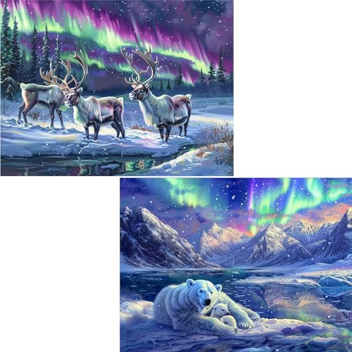 Ginfonr Diamond Painting 5D Diamant Malerei Aurora Bärenhirsch Schnee Winter Nach Anzahl Kits Full Drill Paint Mit Diamonds Arts Wall Decor 30 * 40 cm, 2Pack von Ginfonr