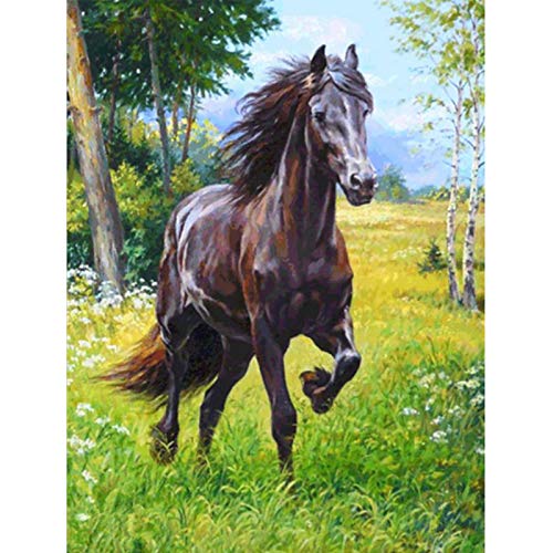 Ginfonr Diamond Painting 5D Diamant Malerei Grünland Schwarzes Pferd Nach Anzahl Kits Full Drill Paint Mit Diamonds Arts Wall Decor 30 * 40 cm von Ginfonr