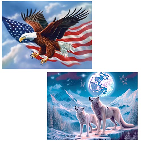 Ginfonr Diamond Painting 5D Diamant Malerei Weißer Wolfsadler Amerikanischer Flaggen-Mondplanet Nach Anzahl Kits Full Drill Paint Mit Diamonds Arts Wall Decor 30 * 40 cm, 2Pack von Ginfonr