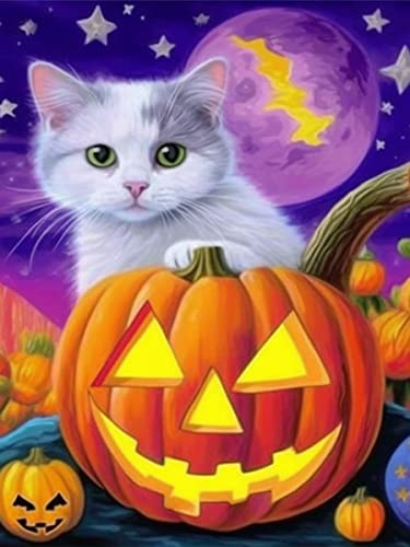 Ginfonr Halloween DIY Diamond Painting Zubehör Kürbis Mond Set Full, 5D Diamant Painting Katz Maus Bilder Kit Crystal Rhinestone Embroidery Decoration Für Home Wall Décor 30x40cm von Ginfonr