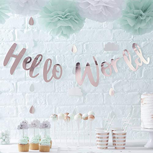 Ginger Ray Unisex Wimpelkette mit Aufschrift "Hello World", Roségold von Ginger Ray