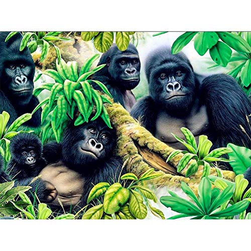 5D Diamond Painting Full Set, Gorilla Familie DIY Diamant Painting Bilder, Diamant Malen Kits, Groß 5D Diamant Malerei Kreuzstich Diamond Dekoration für Wand Dekorationen, Round Drill 50x70cm von Giyuco