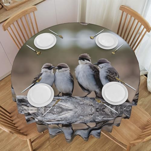 Gjgdbxdw Four Cute Birds Round Tablecloth 60 Inch, Waterproof Washable Polyester Table Cloth Decorative Fabric Table Cover for Dining Table, Buffet Parties and Camping von Gjgdbxdw