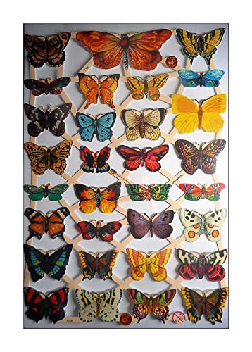 Glanzbilder Schmetterling EF 7336 Oblate Posiebilder Scrapbook Deko GWI 414 von Glanzbilder