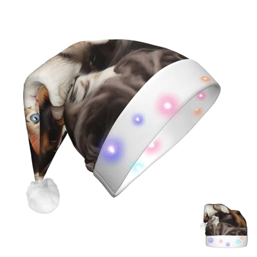 GlbnSHeric Weihnachtsmütze für Erwachsene, leuchtende Weihnachtsmütze, niedliche Katzen, Hunde, Weihnachtsmütze, Plüsch-Weihnachtsmannmütze mit LED-Lichtern von GlbnSHeric