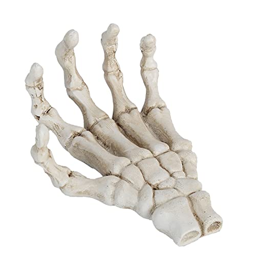 Glomora Halloween Skelett Hände Menschliche Hand Skelett Modell Kunststoff Skelett Hände Modell Knochen Dekoration Hand Ornamente Klaue Skelett Hand Schädel Knochen von Glomora