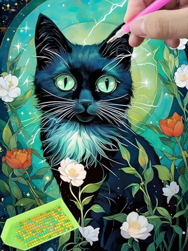 5D Diamond Painting Set, schwarze Katze Diamant Painting Bilder Kit für Kinder Erwachsene, DIY Crystal Strass Stickerei Painting Diamant Malerei Kit, Home Büro Wall Dekoration Wanddeko - 50x70cm R-134 von Glslmznq