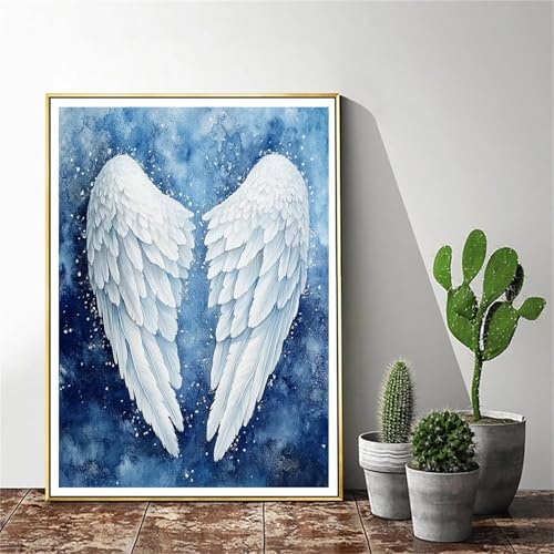 Malen Nach Zahlen Erwachsene Flügel Malen Nach Zahlen Schnee Malen Nach Zahlen ab 9 Jahre Mädchen, Malen Nach Zahlen Kinder Bastelset Erwachsene ,für Home Haus Deko Geschenke (Rahmenlos) 30x40cm C-681 von Gmeignl