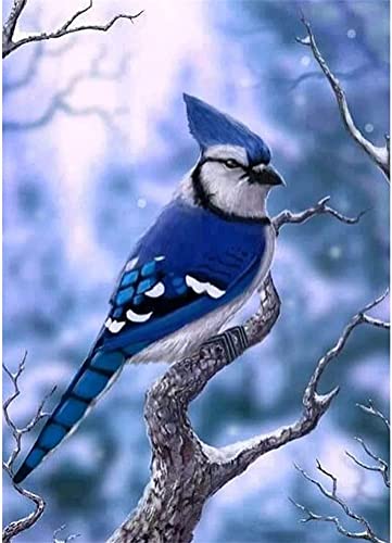 Gofission Diamond Painting Set Full Blauhäher Vogel 30x40cm 5D Diamant Painting Malerei DIY Malen nach Zahlen (Blue Jay) von Gofission