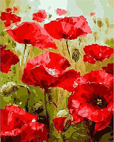 Gofission Malen nach Zahlen für Erwachsene Kinder Rot Mohn Blumen DIY Ölgemälde 40x50 cm Paint by Numbers von Gofission