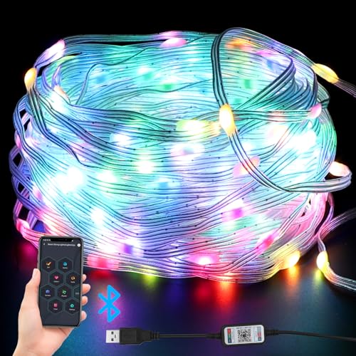 Gohytal LED Lichterkette Außen, 20M Lichterkette Bunt IP65 Wasserdichte mit 200LED Lichterkette Innen Timer Fernbedienung für Schlafzimmer Outdoor Garten Balkon Hochzeit Party Fasching Valentinstag von Gohytal