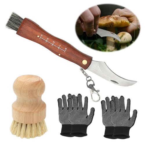 Gohytal Pilzmesser mit Bürste und Lineal,Tragbares Klappmesser mit Handschuhe Pilzbürste,Champignon/Trüffel Outdoor Taschenmesser,Schwammerlmesser Geschenk für Pilzsammler,Edelstahl Pilzsammler Messer von Gohytal