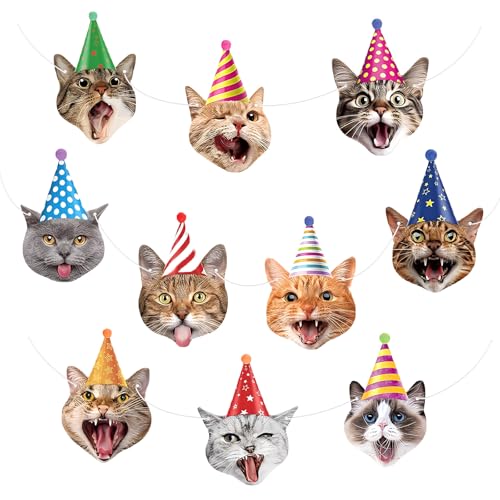 Goiern Katze Geburtstagsbanner Katzen Geburtstagsparty Dekorationen Katzengesichter Geburtstagsbanner Katzen Dekorationen Banner Kranz für Kinder Mädchen Frauen Katzen von Goiern