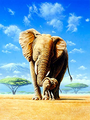 Goofong 5D Diamant Painting Tier, DIY Diamond Painting Elefant, Full Runde Diamant Painting Bilder Malerei Strass Stickerei Mosaik Home Decor 30x40cm von Goofong