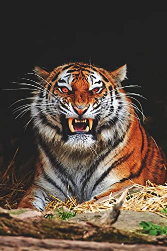 Goofong Diamond Painting Tiger für Erwachsene - DIY 5D Diamant Malerei Tiere Kit mit Vollbohrer, Strasssteine, Kreuzstich, Mosaik Gemälde - Home Wand Dekor - 30x40cm von Goofong