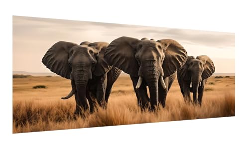 5D Diamond Painting Afrika Diamant Painting Bilder für Erwachsene, DIY Diamant Malerei Set, Elefant Diamond Painting Zubehör Basteln Mädchen Geschenke, Strass Cross Stickerei Kunst Kits 60x120cm G-110 von Gooxehuu