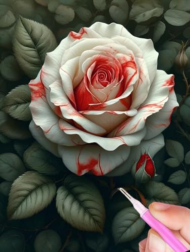 5D Diamond Painting Rose Diamant Painting Bilder Blume Diamond Painting Erwachsene Bastelset, DIY Diamant Kunst Malerei Stickerei Kreuzstich Paintings Set, Deko Wohnzimmer Geschenke 90x130cm Y-823 von Gooxehuu