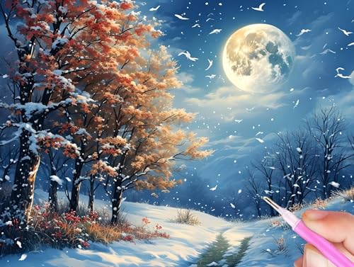 Winter Diamond Painting Erwachsene, 5D Diamant Painting Bilder Landschaft Diamond Painting Kinder, DIY Mosaikherstellung Malen Nach Zahlen Stickerei Malerei Kits für Home Wand Décor 100x150cm Y-74 von Gooxehuu