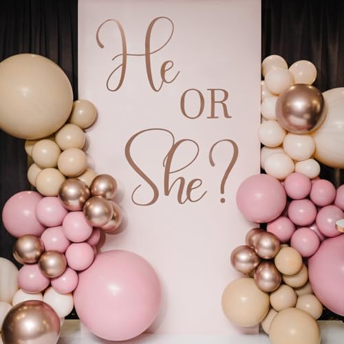 Er oder Sie Geschlecht Offenbaren Dekoration, Gender Reveal-Aufkleber Junge Oder Mädchen-Schild Gender Reveal-Hintergrund Aufkleber für Ballonbogen Babyparty Gender Reveal Party Dekorationen von Gosknor