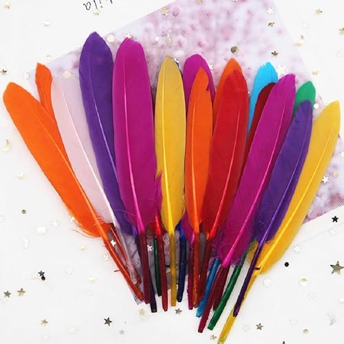 GreatRise 10-15cm Bunte Federn Natürliche Gänsefedern Federn zum Basteln Indianer Federn Dekoration Feder für DIY Handwerk Kostüme Hut Traumfänger Hochzeit Party Dekorationen Farben#2 500 Stück von GreatRise