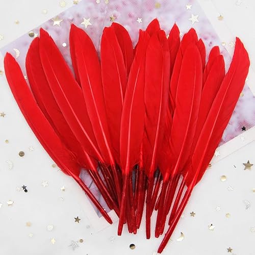 GreatRise 10-15cm Bunte Federn Natürliche Gänsefedern Federn zum Basteln Indianer Federn Dekoration Feder für DIY Handwerk Kostüme Hut Traumfänger Hochzeit Party Dekorationen Rot 100 Stück von GreatRise