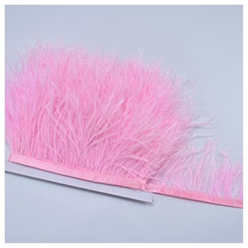 GreatRise 8-10cm Natürliche Straußenfedern Borte Plüsch Federborte Federband zum Basteln Feder Fringe Trim Feder Fransen Band für DIY Handwerk Nähen Hut Kleid Kostüme Dekoration Helles Rosa 1m von GreatRise