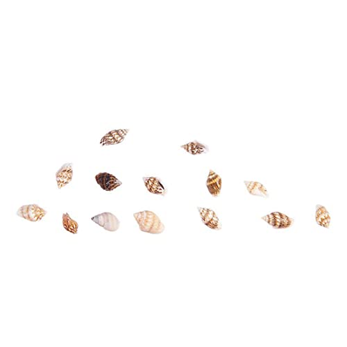 Tiny Sea Ocean Beach Spirale Muschel Miniatur Beach Critter Themen Dekor 30pcs winziges Meereshandwerk von Grtheenumb