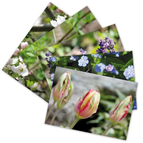 5 hochwertige Grußkarten "Frühling I", 5 Klappkarten/Faltkarten inkl. Umschlag/Kuvert (5 Motive - Grüße von Herzen) Tulpen, Apfelblüte, Lavendel, Ehrenpreis von Grüße von Herzen