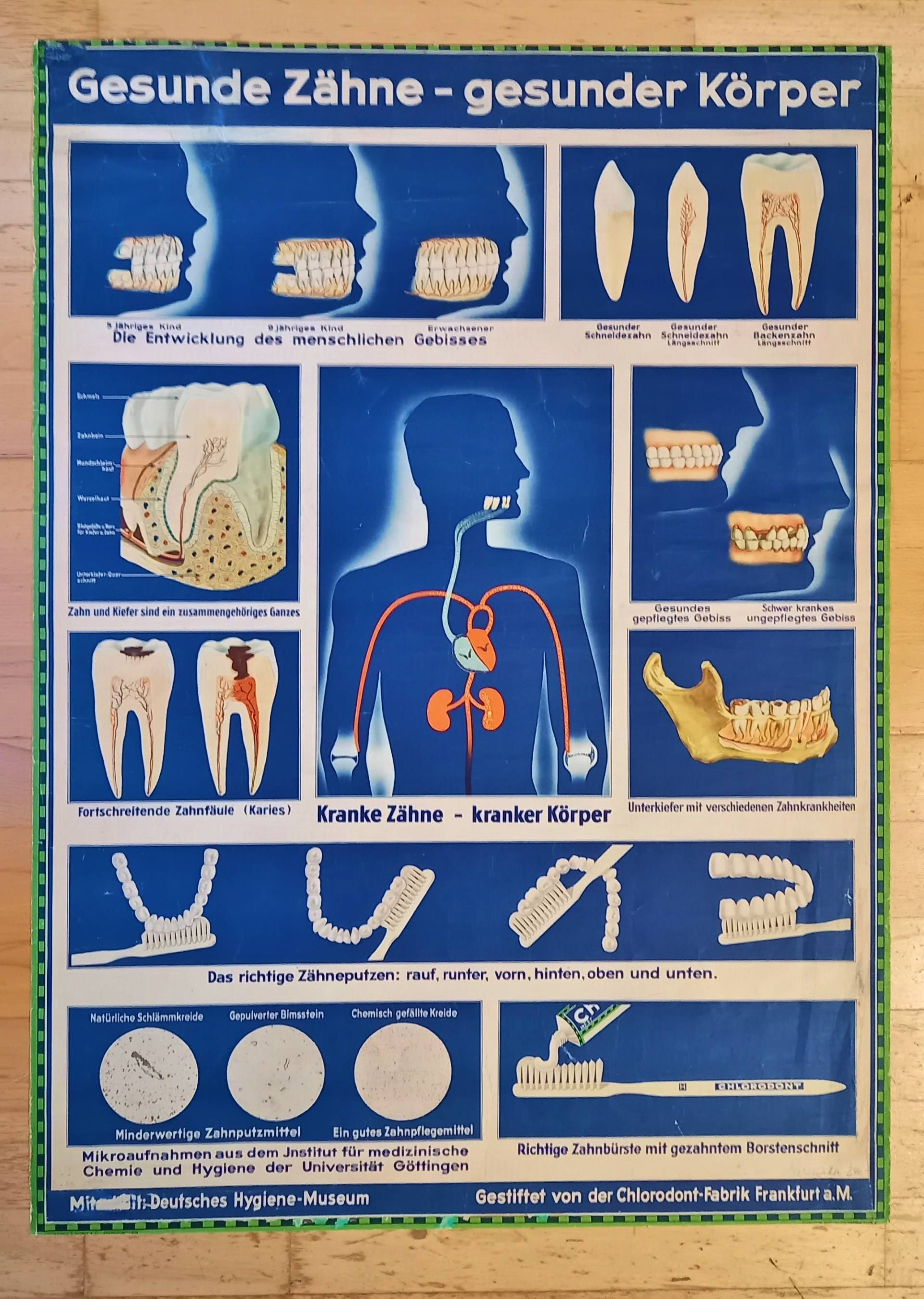 Lehrbild Zur Zahngesundheit 30Er40Er Jahre Auf Leinen Kaschiertem Papier von GrukatShop