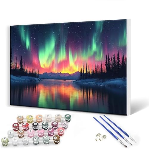 Malen Nach Zahlen Erwachsene mit Rahmen 40 x 50 cm, Malen Nach Zahlen Nordlicht Landschaft Leinwand Kreativ Set für Erwachsene, DIY Paint by Numbers mit Pinseln und Acrylfarbe, Wanddeko Aesthetic E-5 von Gtohoo