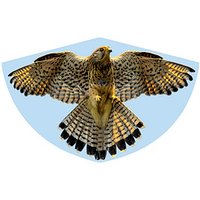 Günther® Flugdrachen Falke mehrfarbig von Günther®