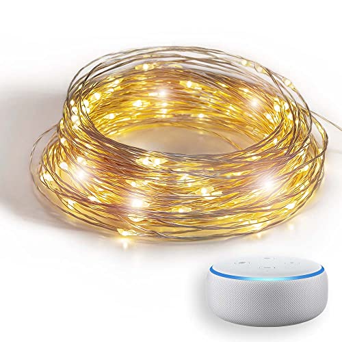 GuirLED - Lichterkette WiFi Mini LED USB – Sprachsteuerung – vernetztes Haus – Amazon Alexa & Google Assistant – 100 LEDs 10 Meter – Silber Filament von GuirLED