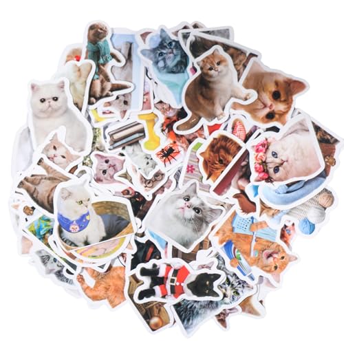 GullSkies100 Stücke Lustiges Katzen Aufkleber Set,Waterproof Vinyl Sticker,Tiere Katzen Meme Sticker,Cute Cat Sticker,Aesthetic Sticker,Sticker Erwachsene Kinder,für Laptop,Foto Album,Scrapbook,Koffer von GullSkies