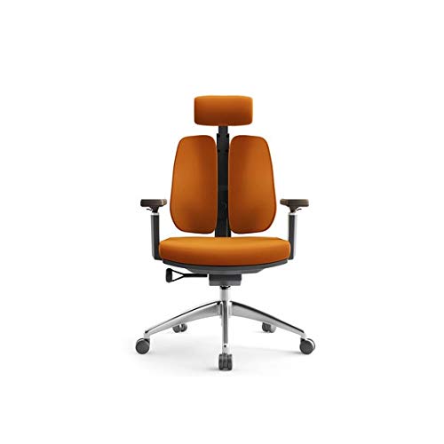 HAGNZHE Creative Comter Stuhl Ergonomischer Wirbelsäulenstuhl, einfache Taille, doppelte Rückenlehne, Bürostuhl aus Netzstoff von HAGNZHE