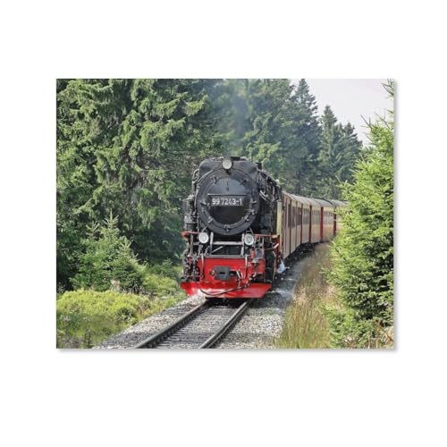 DIY 5D Diamant Malerei Kit,Dampfzug Industriezeitalter Dampflokomotive Zug Vintage Eisenbahn Lokomotive Eisenbahn,Kristall Diamond Painting Kunst Handwerksbedarf für Wohnzimmer Wand Deko50x50cm-249 von HAIDU