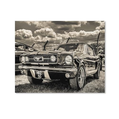 HAIDU 5D DIY Diamond Painting Kit, Retro Mustang Auto Schwarz Weiß Diamond Painting Full Drill Cross Stitch Kit Diamond Painting Kits Strasssteine ​​​​Diamantstickerei, Wanddekoration40x40cm-39 von HAIDU