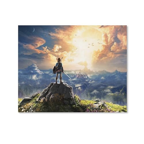 HAIDU 5D Diamond Painting Cartoon The Legend Of Zelda Breath Of The Wild Wandkunst Bild Kunstdruck Malerei Landschaft Home Wall Decor（Round Diamond） 30x40cm-55 von HAIDU