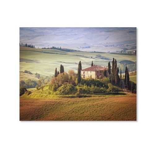 HAIDU 5D Diamond Painting Diy Italien Toskana Sommerlandschaft Landschaft Diamantstickerei Home Hochzeitsdekoration（Round Diamond） 40x50cm-52 von HAIDU